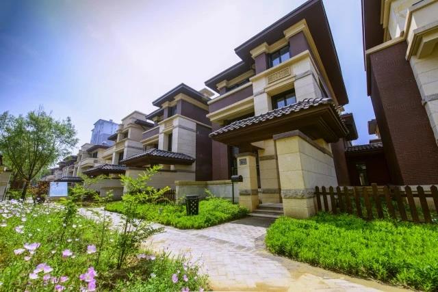 MS88����(�й���½)�ٷ���վ