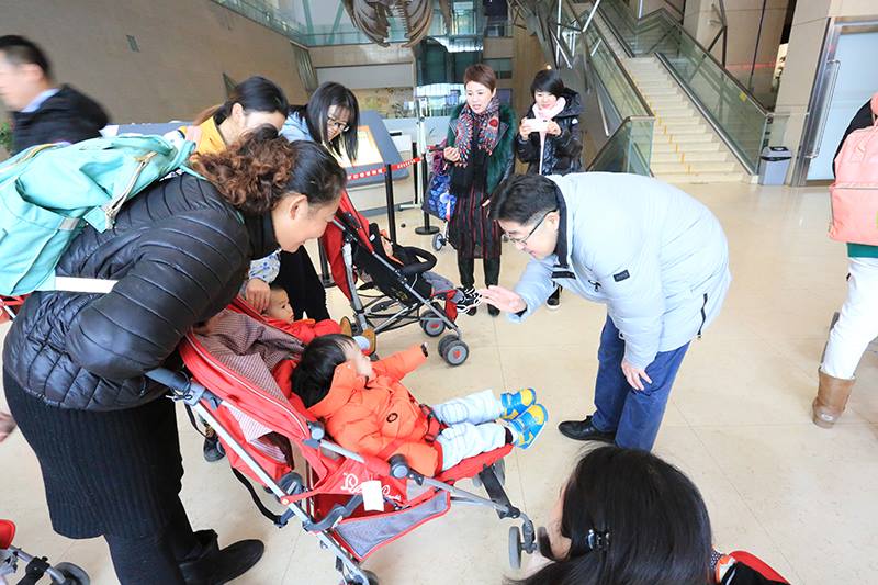 MS88����(�й���½)�ٷ���վ