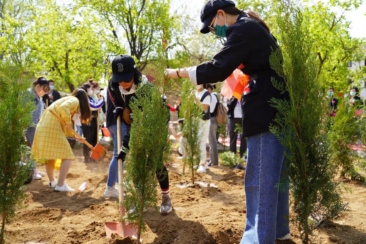 MS88����(�й���½)�ٷ���վ