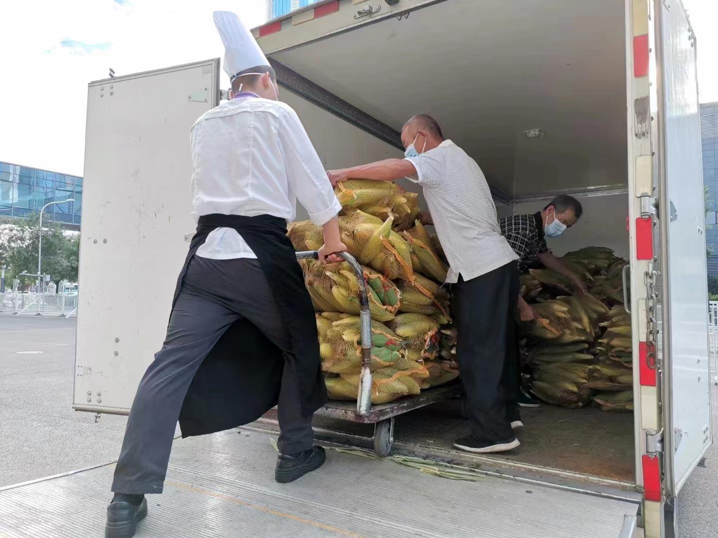 MS88����(�й���½)�ٷ���վ