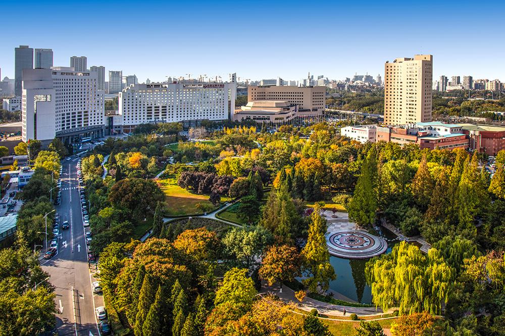 MS88����(�й���½)�ٷ���վ