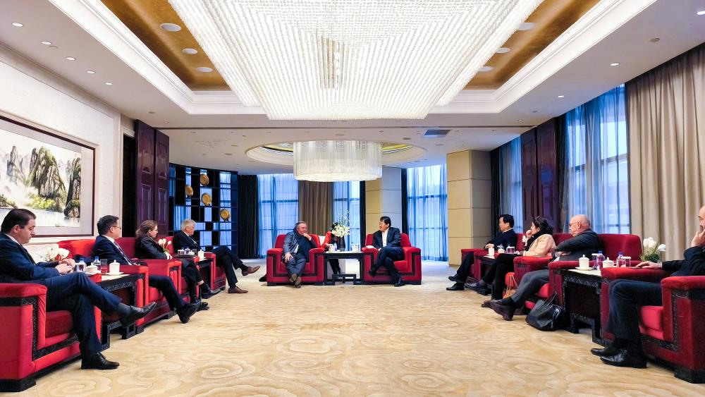 MS88����(�й���½)�ٷ���վ