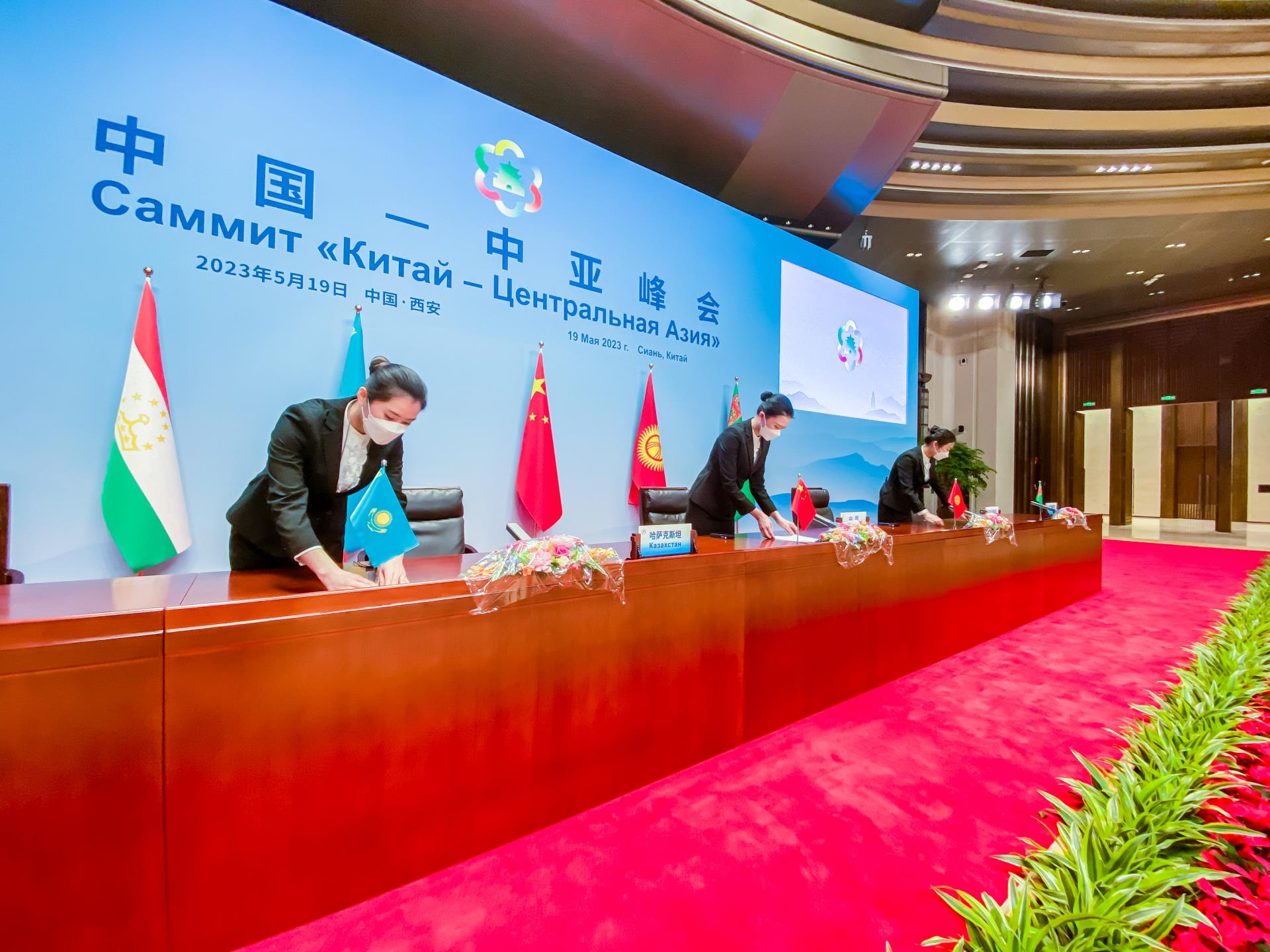 MS88����(�й���½)�ٷ���վ