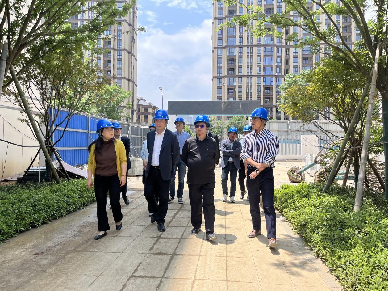 MS88����(�й���½)�ٷ���վ