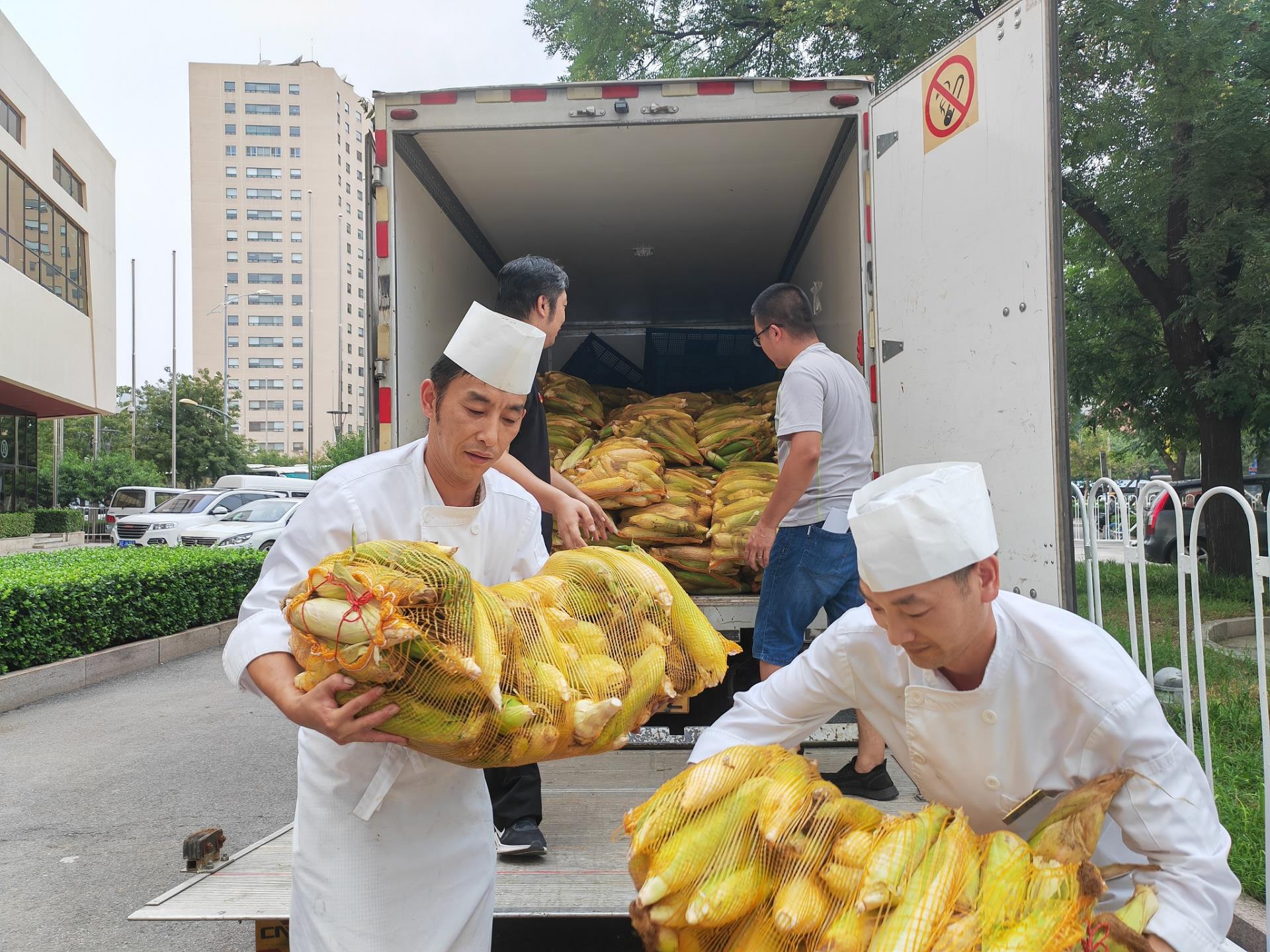 MS88����(�й���½)�ٷ���վ