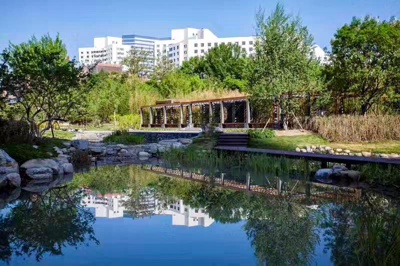 MS88����(�й���½)�ٷ���վ