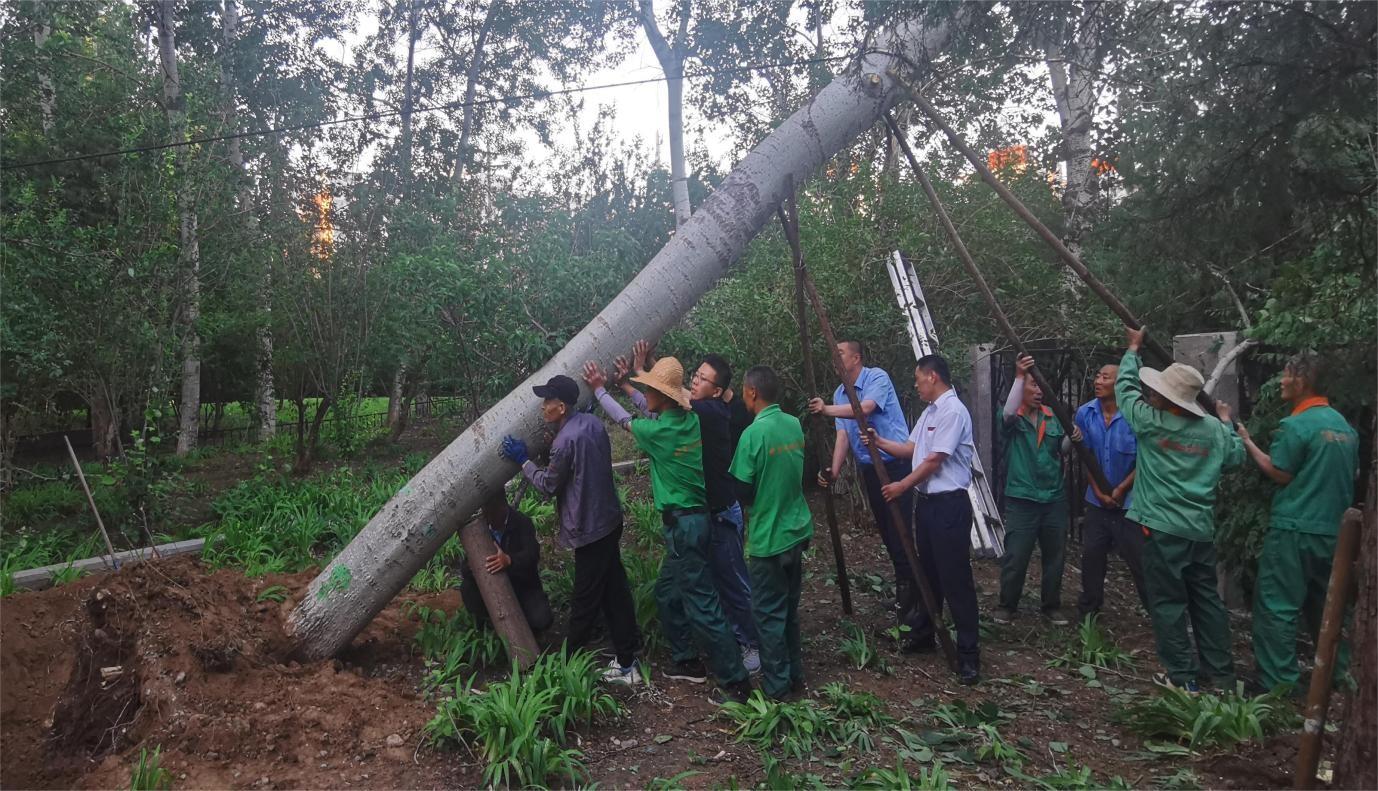 MS88����(�й���½)�ٷ���վ