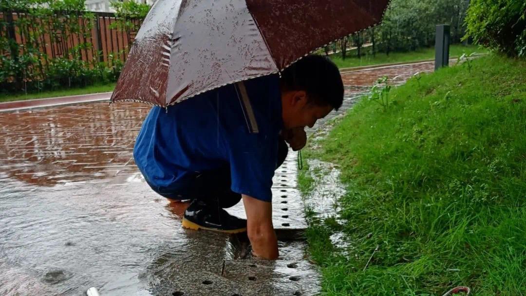 MS88����(�й���½)�ٷ���վ