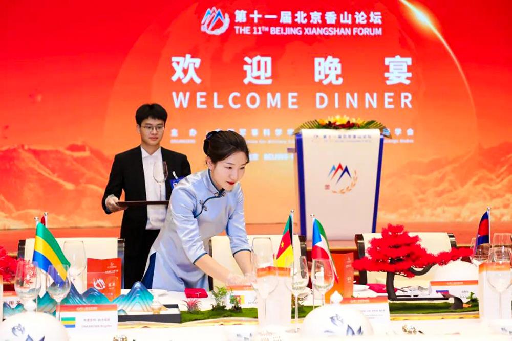 MS88����(�й���½)�ٷ���վ