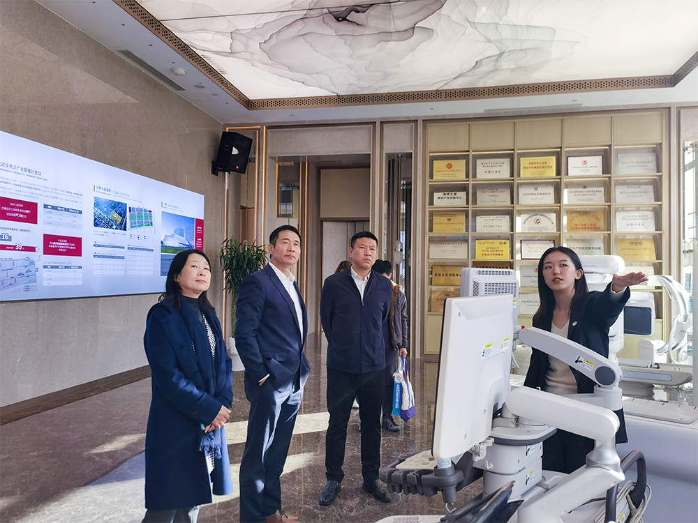 MS88����(�й���½)�ٷ���վ