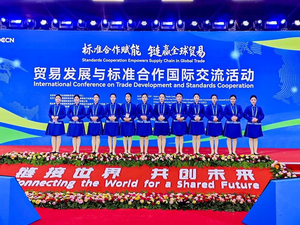 MS88����(�й���½)�ٷ���վ