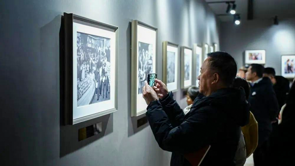 MS88����(�й���½)�ٷ���վ