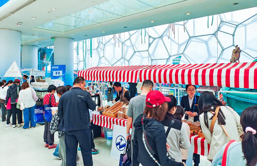 MS88����(�й���½)�ٷ���վ