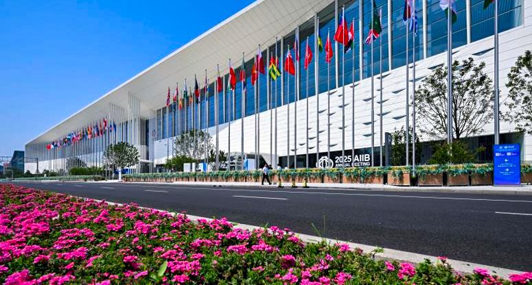 MS88����(�й���½)�ٷ���վ