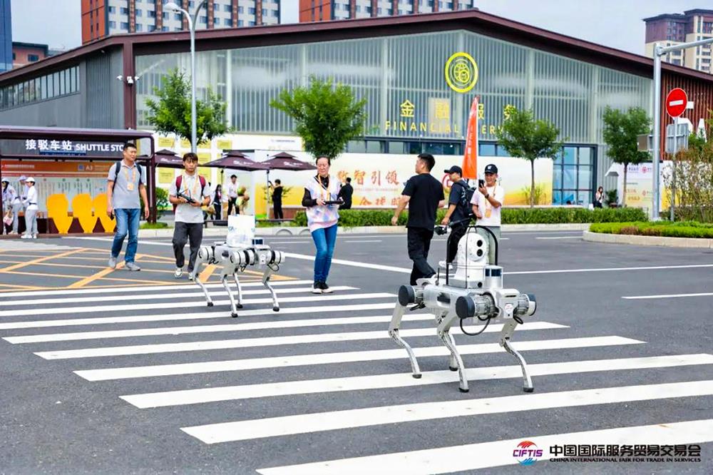 MS88����(�й���½)�ٷ���վ