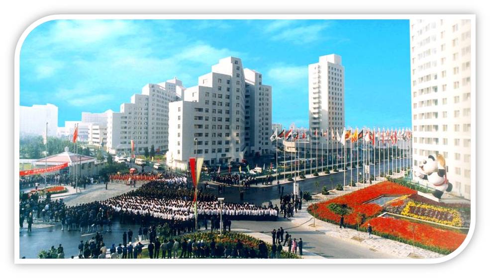 MS88����(�й���½)�ٷ���վ