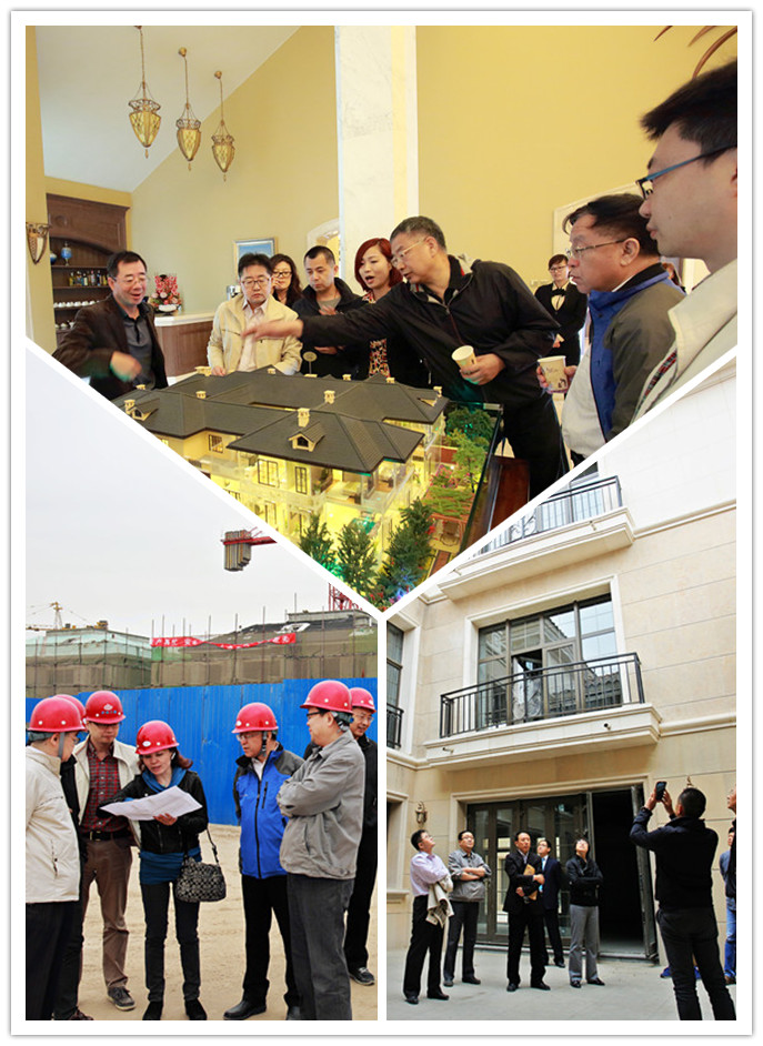 MS88����(�й���½)�ٷ���վ