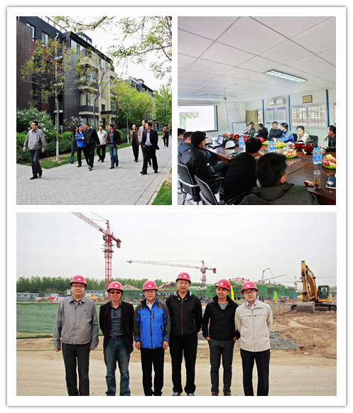 MS88����(�й���½)�ٷ���վ