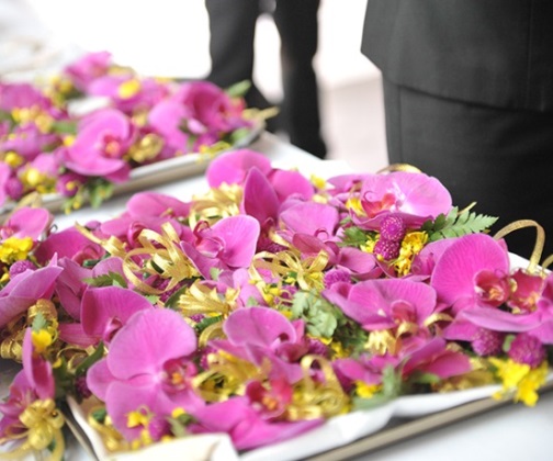 MS88����(�й���½)�ٷ���վ