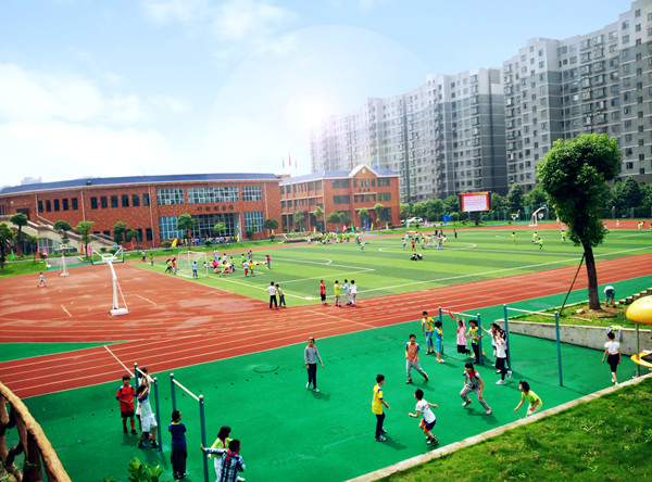 MS88����(�й���½)�ٷ���վ