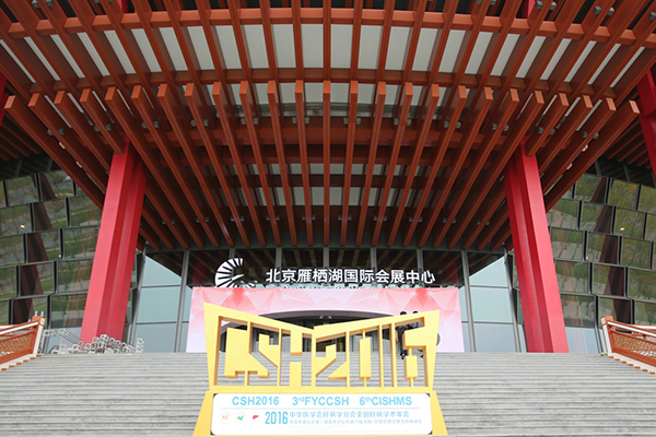 MS88����(�й���½)�ٷ���վ