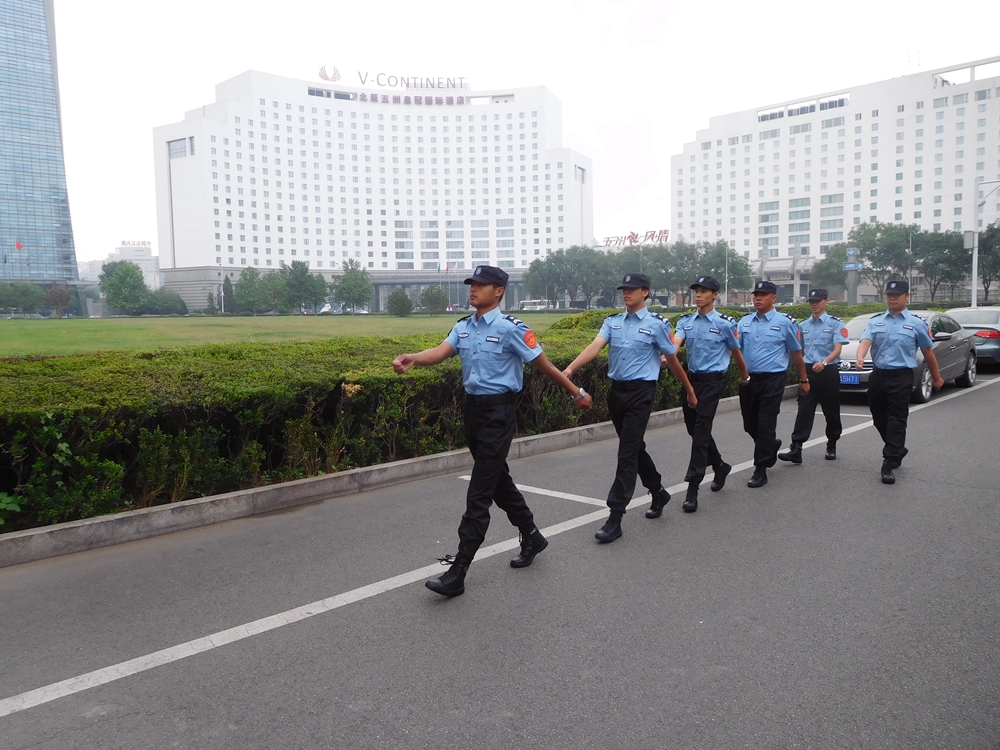 MS88����(�й���½)�ٷ���վ