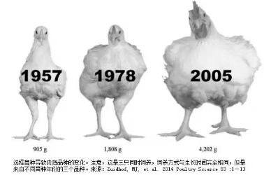 20181103135546 918博天堂(中国区)官方网站