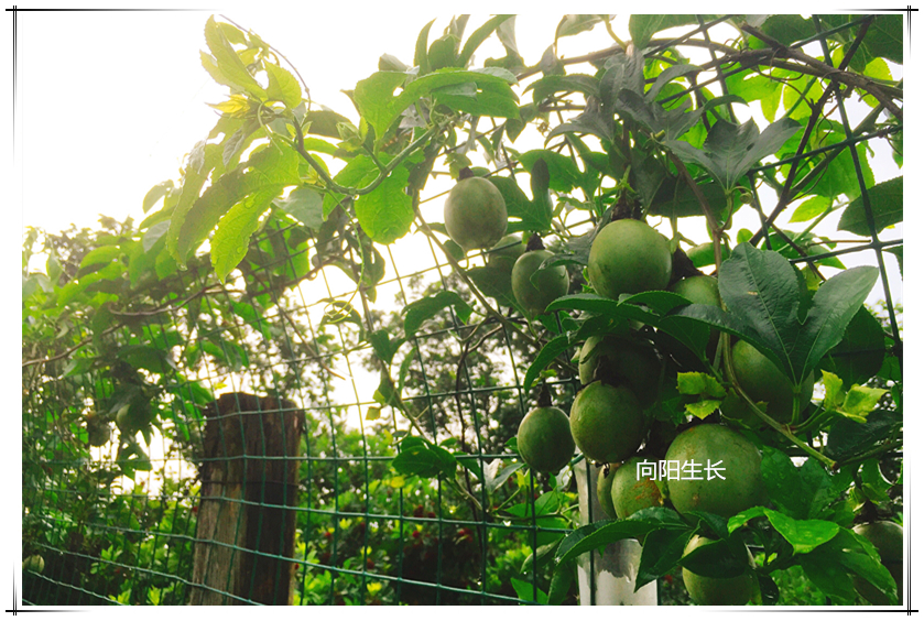 20190531101000 918博天堂(中国区)官方网站